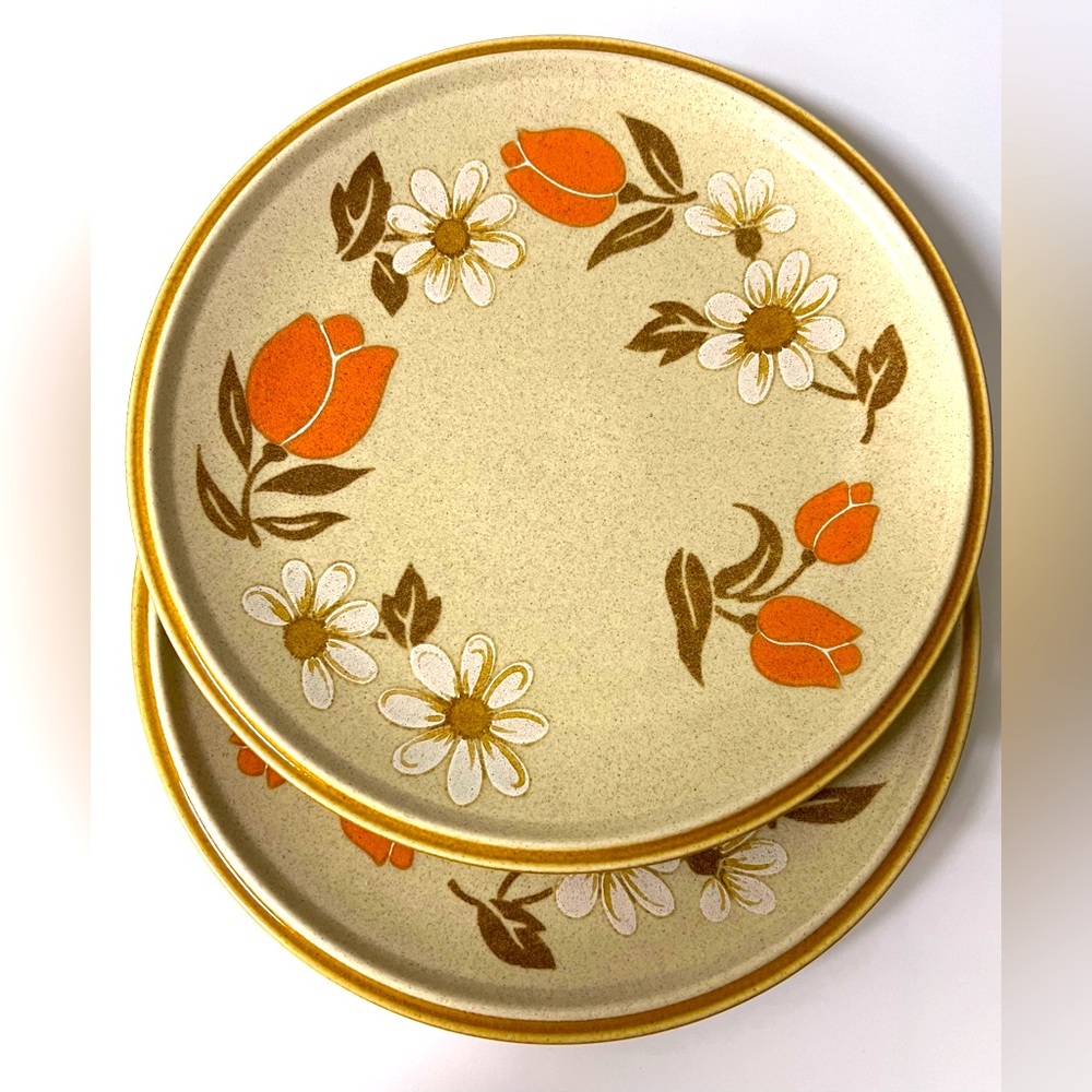 Set of 2 Premiere Country Casual Nostalgia Stoneware Japan Dinner Plates 10.5 in